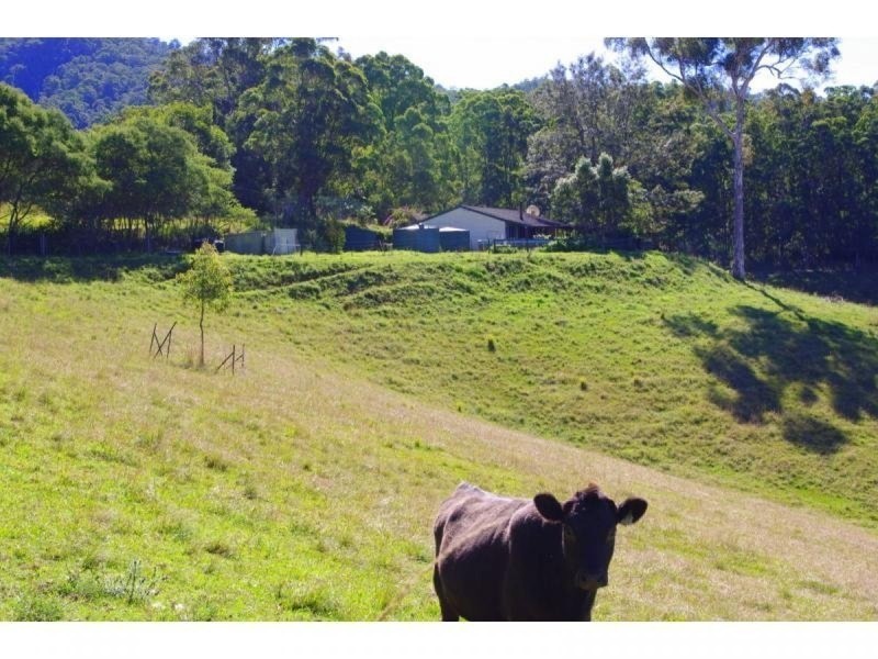 9 Appletree Road, Bellangry NSW 2446