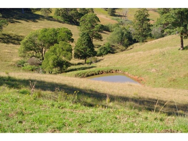 9 Appletree Road, Bellangry NSW 2446