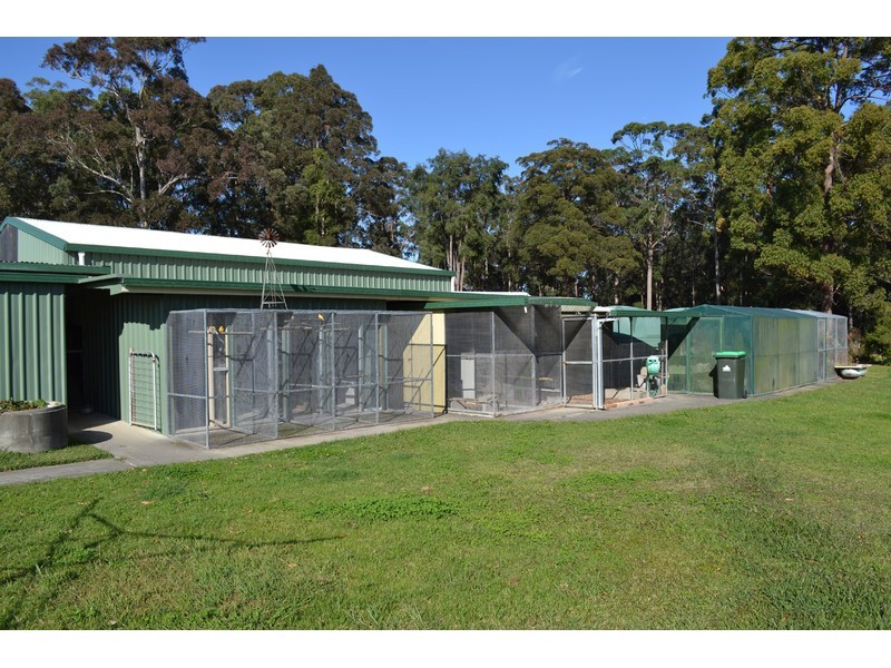 1 Moncrieff Close, King Creek NSW 2446