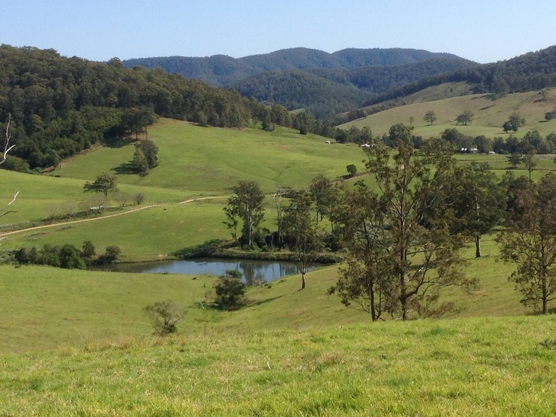 Lot 1, 991 Pappinbarra Road, Pappinbarra NSW 2446