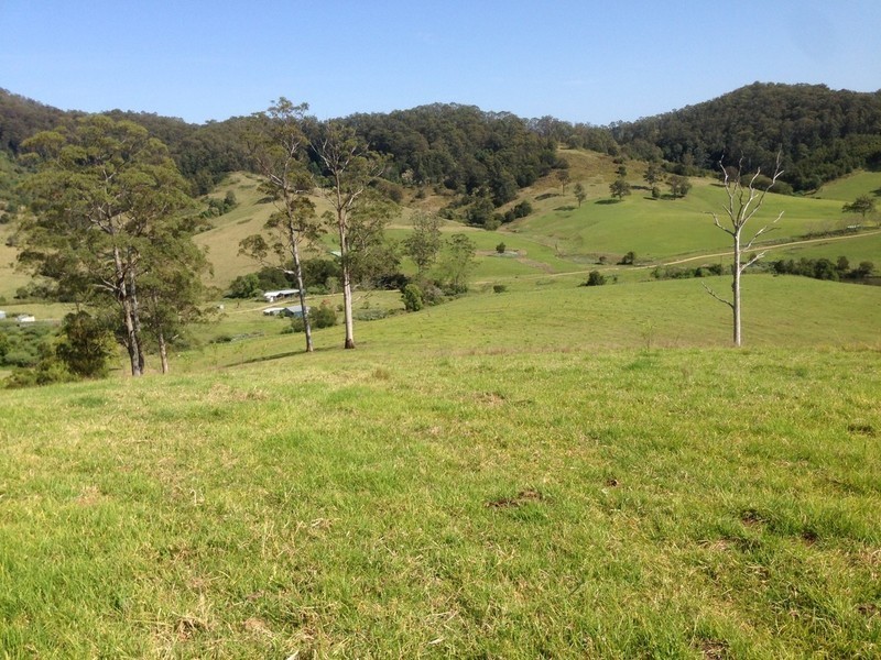 Lot 1, 991 Pappinbarra Road, Pappinbarra NSW 2446