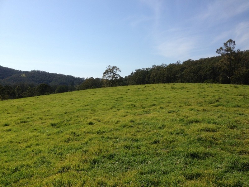 Lot 1, 991 Pappinbarra Road, Pappinbarra NSW 2446
