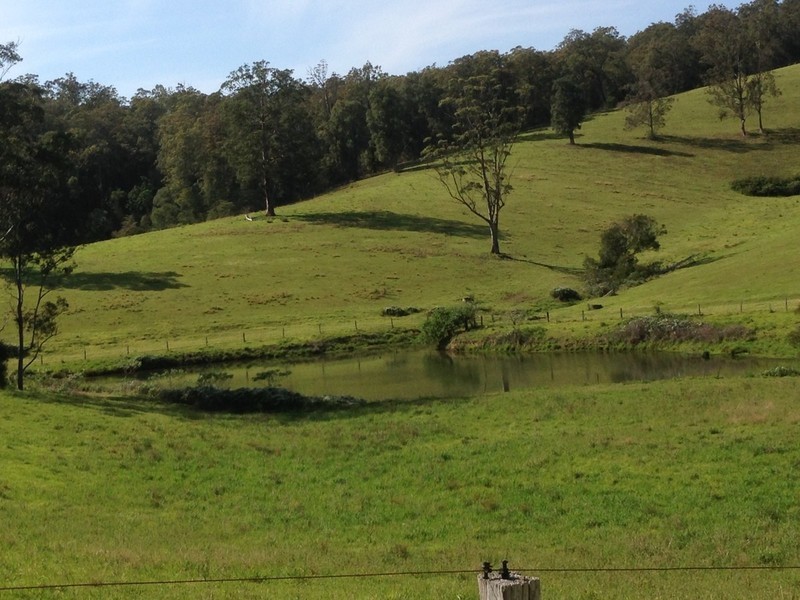 Lot 1, 991 Pappinbarra Road, Pappinbarra NSW 2446