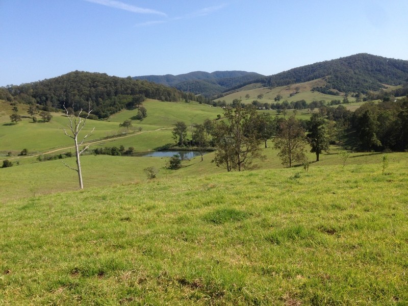 Lot 1, 991 Pappinbarra Road, Pappinbarra NSW 2446