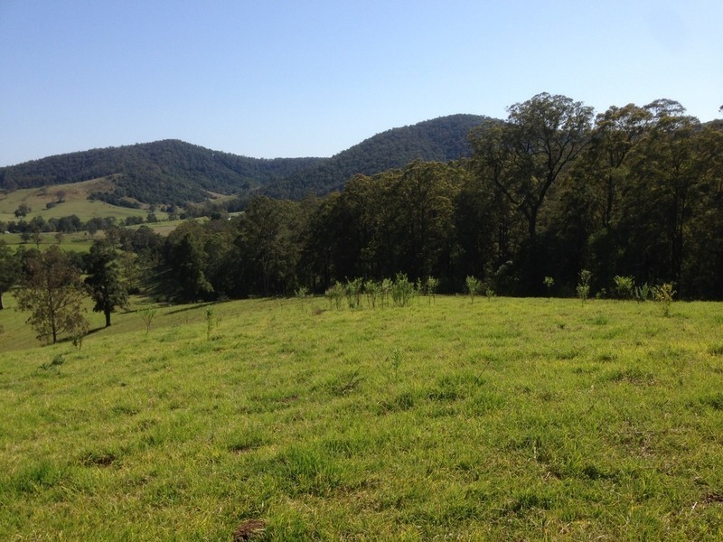 Lot 1, 991 Pappinbarra Road, Pappinbarra NSW 2446