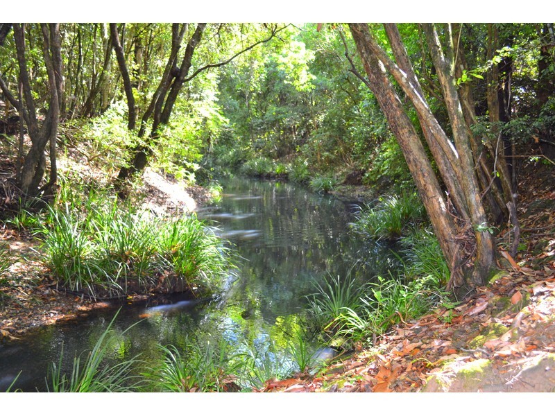 449 Bril Bril Road, Rollands Plains NSW 2441