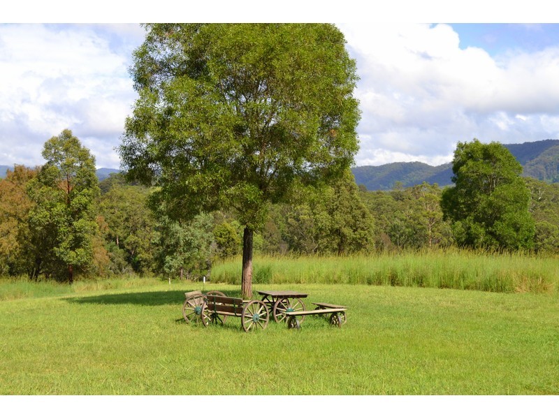 449 Bril Bril Road, Rollands Plains NSW 2441