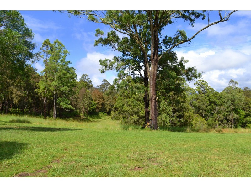 449 Bril Bril Road, Rollands Plains NSW 2441