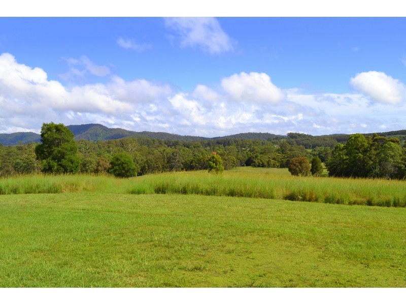 449 Bril Bril Road, Rollands Plains NSW 2441