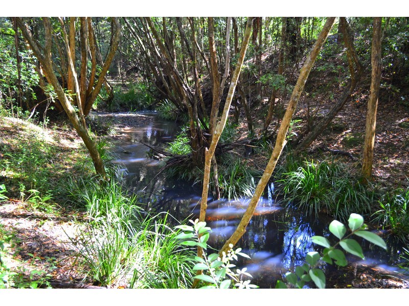 449 Bril Bril Road, Rollands Plains NSW 2441