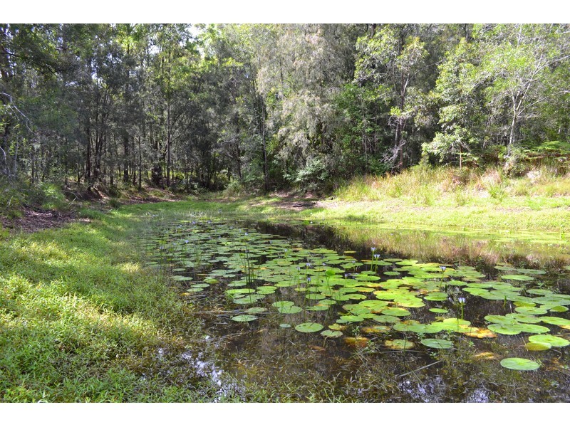 449 Bril Bril Road, Rollands Plains NSW 2441