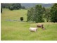 68 Misty Vale Way, Hollisdale NSW 2446