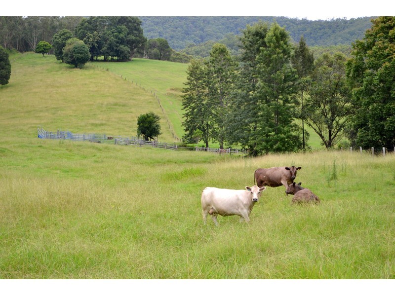 68 Misty Vale Way, Hollisdale NSW 2446