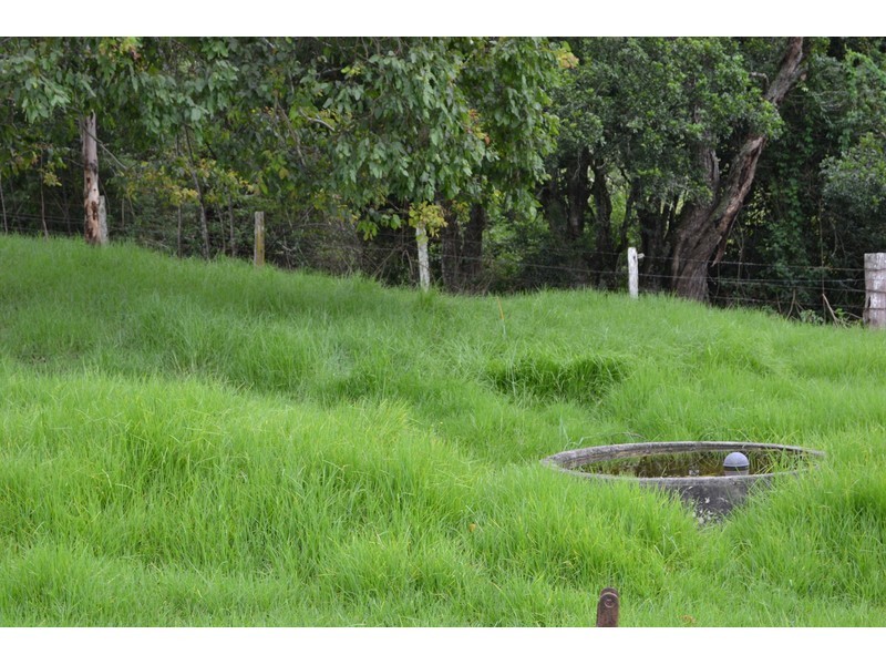 68 Misty Vale Way, Hollisdale NSW 2446