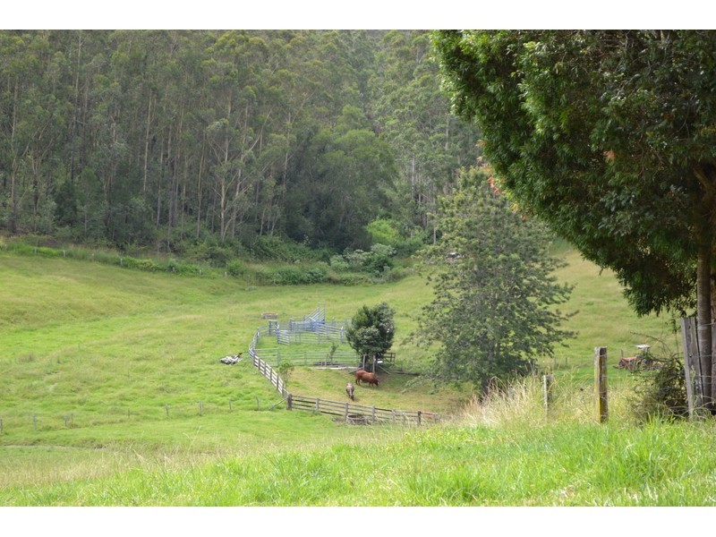 68 Misty Vale Way, Hollisdale NSW 2446