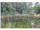 14 Moncrieff Close, King Creek NSW 2446
