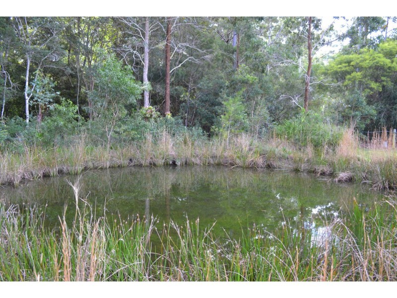 14 Moncrieff Close, King Creek NSW 2446