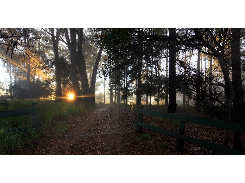 670 Ponsfords Road, Comboyne NSW 2429