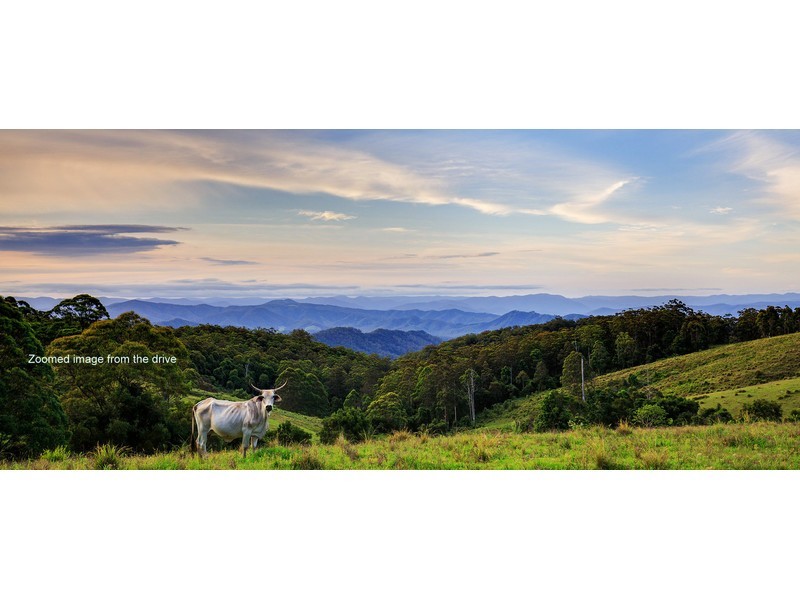 670 Ponsfords Road, Comboyne NSW 2429