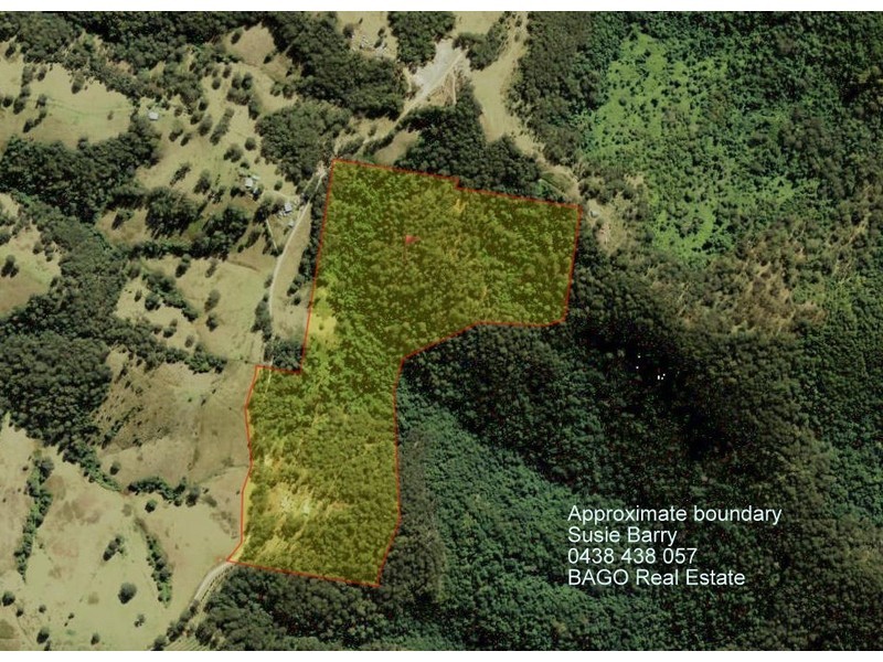 670 Ponsfords Road, Comboyne NSW 2429