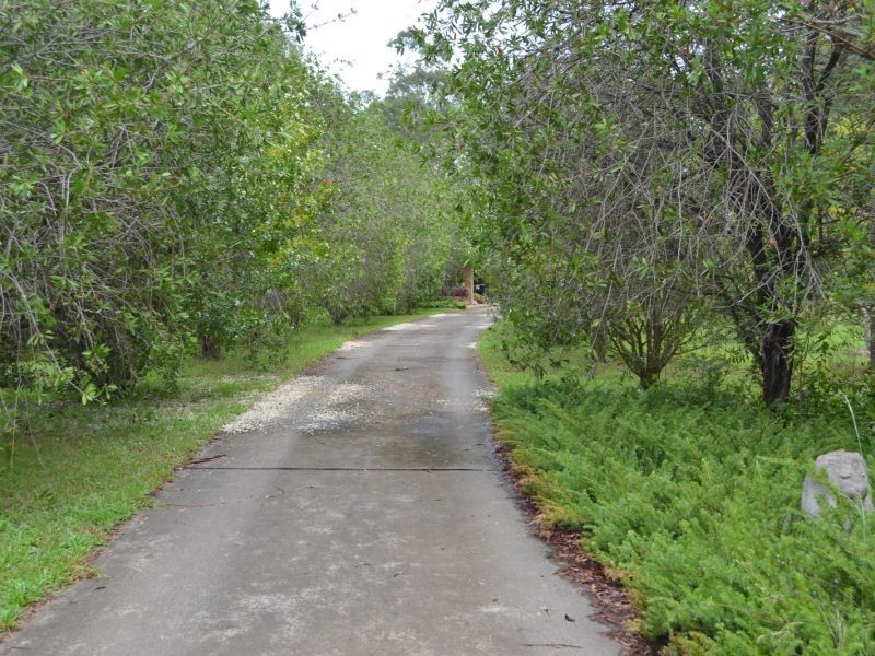 79 Rowsells Road, Pembrooke NSW 2446