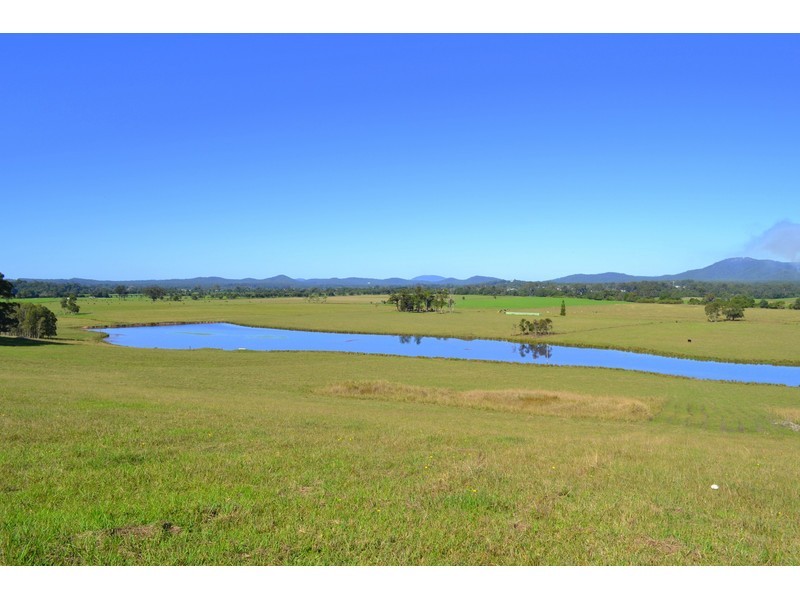 163 Redbank Road, Redbank NSW 2446