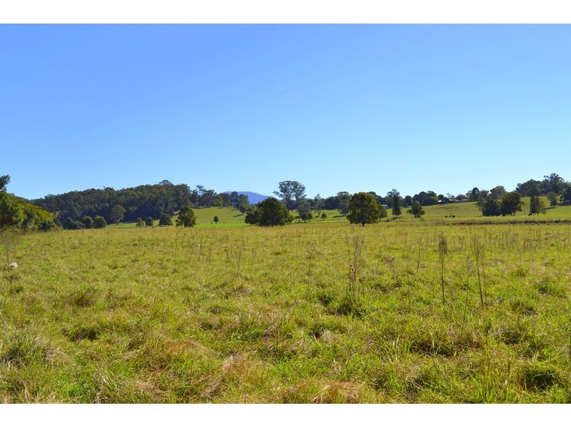 163 Redbank Road, Redbank NSW 2446