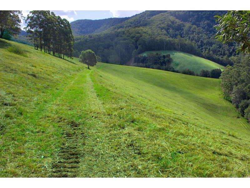 Lot 1, Pipeclay Road, Pipeclay NSW 2446