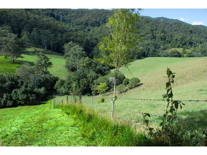 Lot 1, Pipeclay Road, Pipeclay NSW 2446