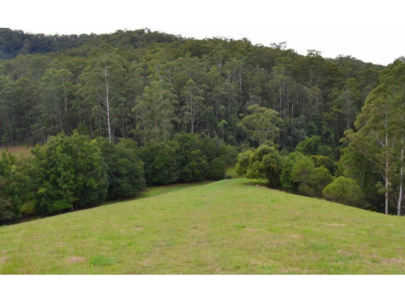 Lot 1, Pipeclay Road, Pipeclay NSW 2446