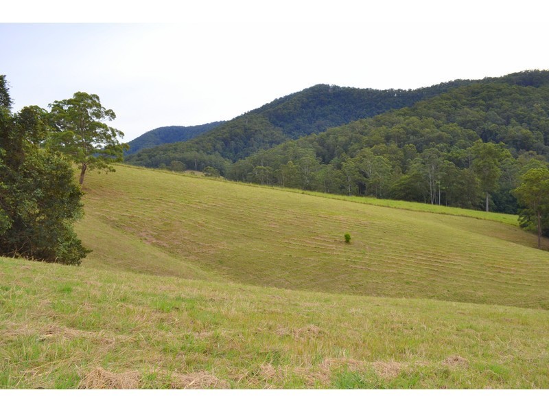 Lot 1, Pipeclay Road, Pipeclay NSW 2446