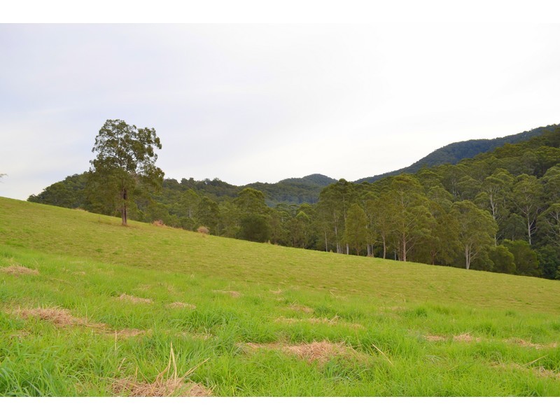 Lot 1, Pipeclay Road, Pipeclay NSW 2446