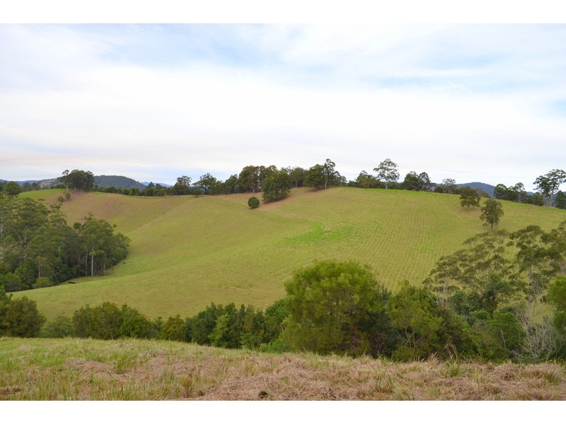 Lot 1, Pipeclay Road, Pipeclay NSW 2446