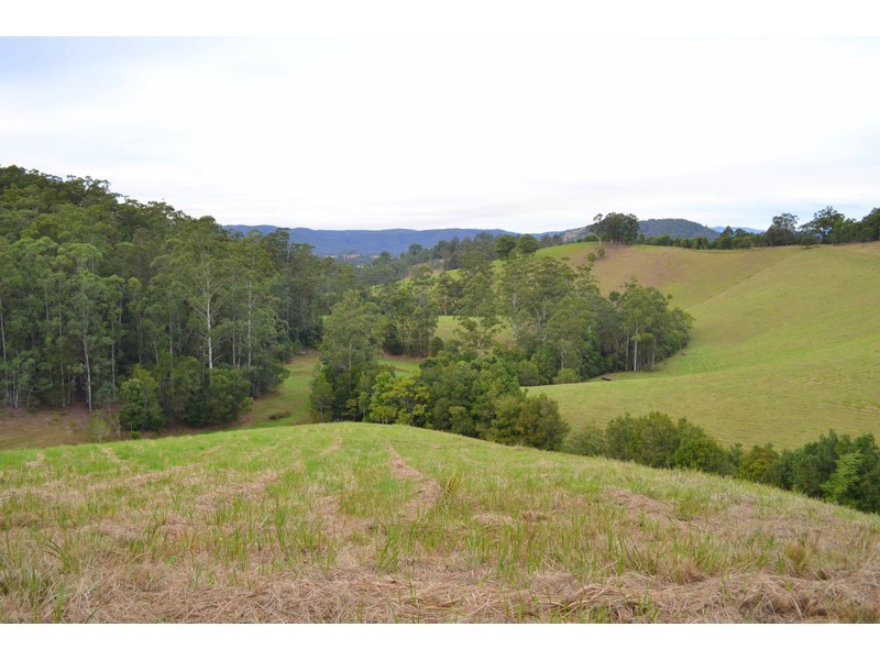 Lot 1, Pipeclay Road, Pipeclay NSW 2446