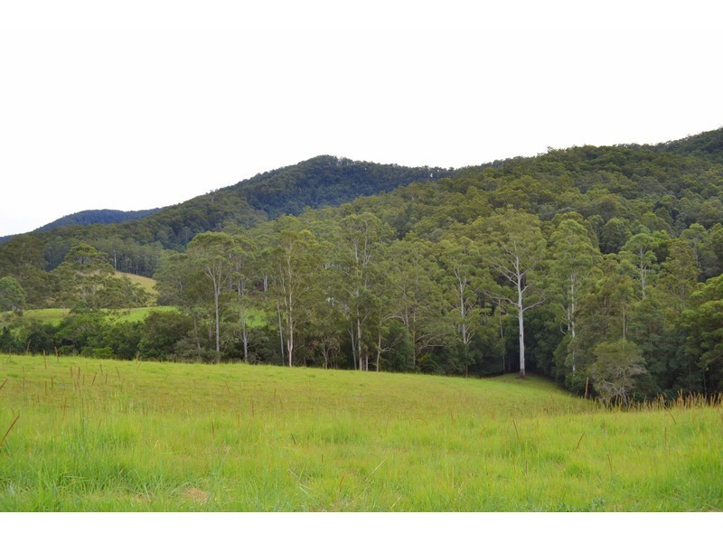 Lot 1, Pipeclay Road, Pipeclay NSW 2446