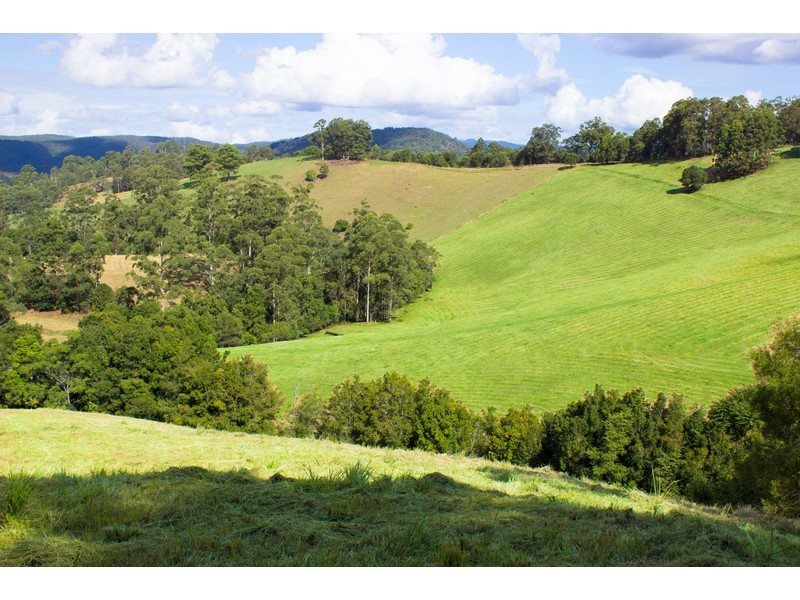 Lot 1, Pipeclay Road, Pipeclay NSW 2446