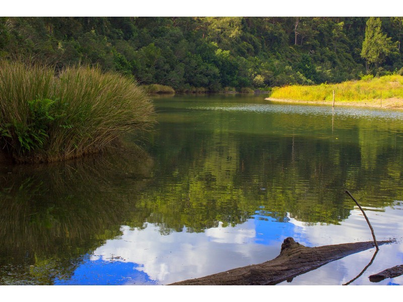 Lot 1, Pipeclay Road, Pipeclay NSW 2446