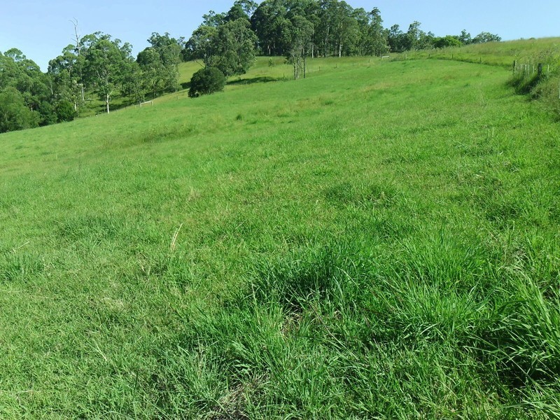 Lot 1, Pipeclay Road, Pipeclay NSW 2446