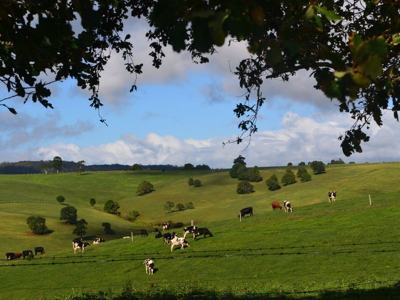 lot 3 Ingleside Road, Comboyne NSW 2429