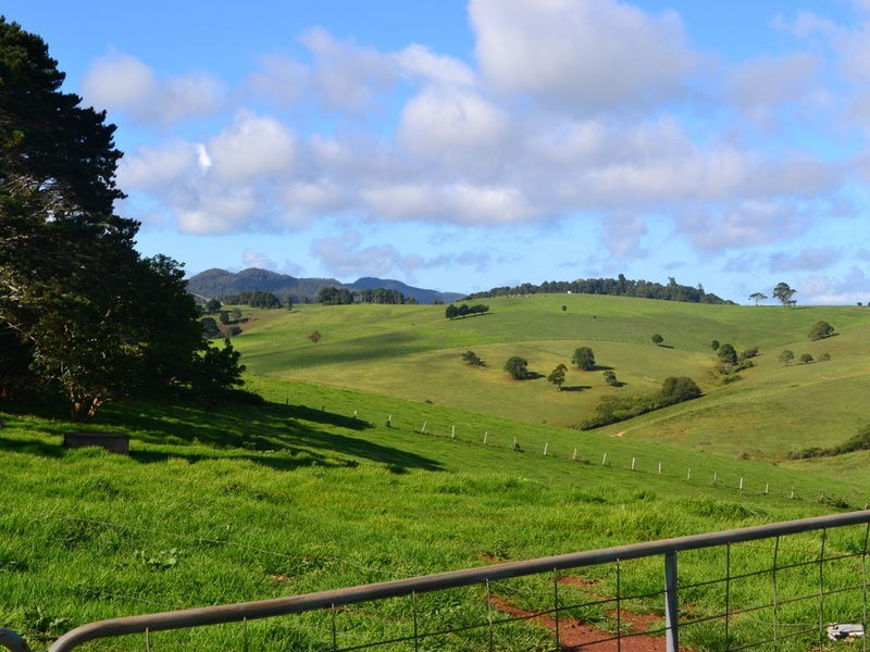 lot 3 Ingleside Road, Comboyne NSW 2429