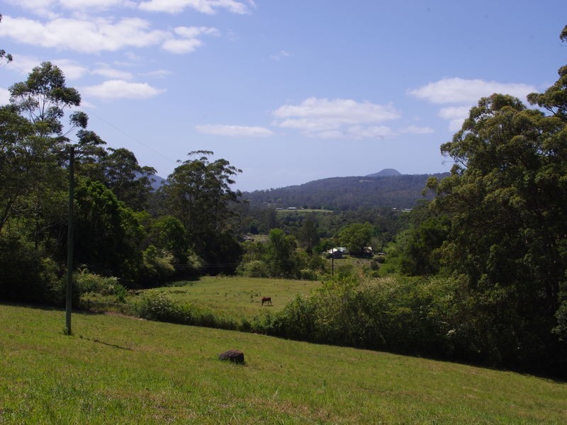 lot 31 Tallowood Lane, Hannam Vale NSW 2443