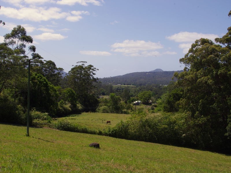 lot 31 Tallowood Lane, Hannam Vale NSW 2443