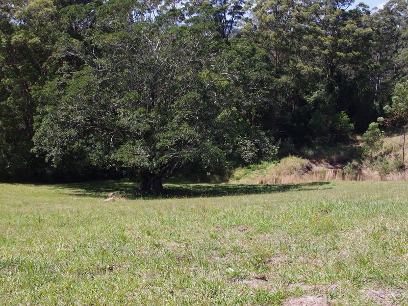 lot 31 Tallowood Lane, Hannam Vale NSW 2443