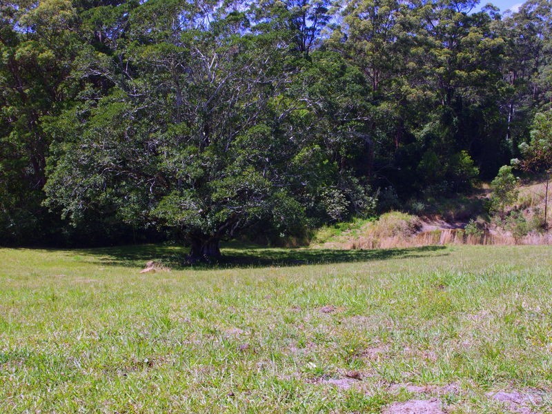 lot 31 Tallowood Lane, Hannam Vale NSW 2443