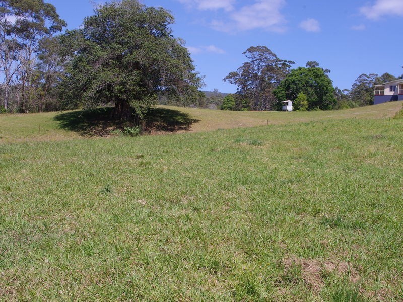 lot 31 Tallowood Lane, Hannam Vale NSW 2443