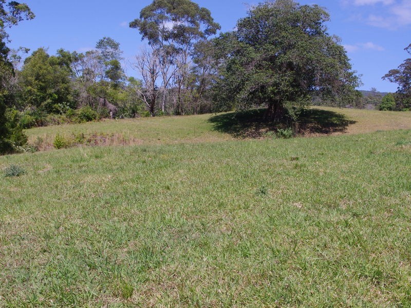 lot 31 Tallowood Lane, Hannam Vale NSW 2443