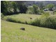 lot 31 Tallowood Lane, Hannam Vale NSW 2443
