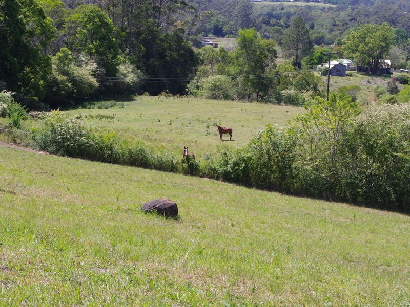 lot 31 Tallowood Lane, Hannam Vale NSW 2443