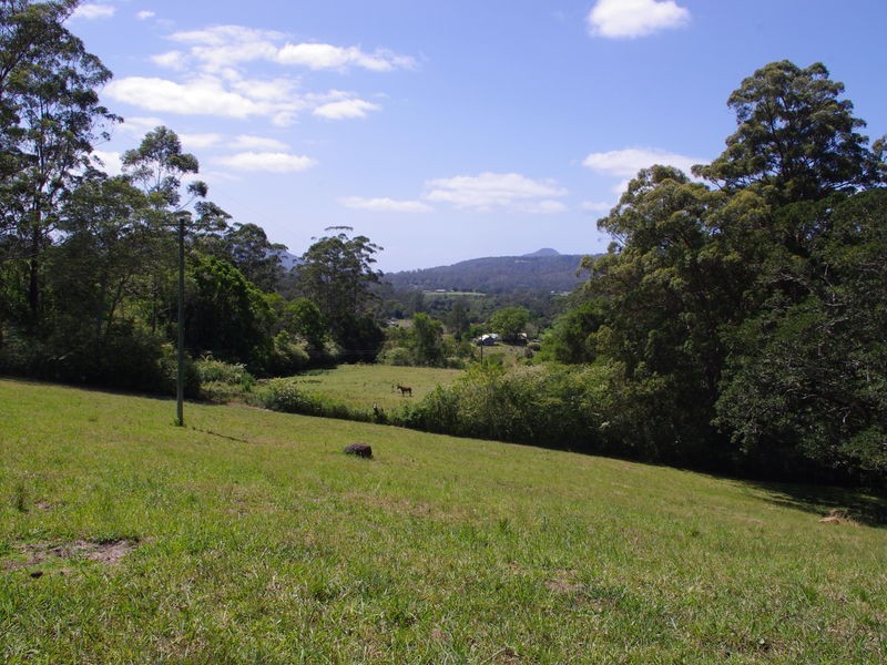 lot 31 Tallowood Lane, Hannam Vale NSW 2443