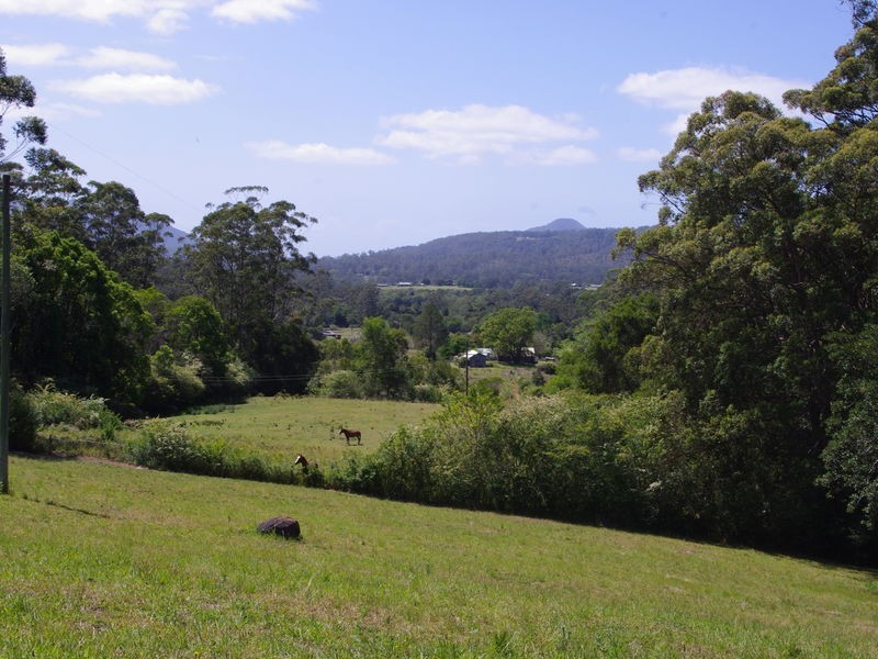 lot 31 Tallowood Lane, Hannam Vale NSW 2443